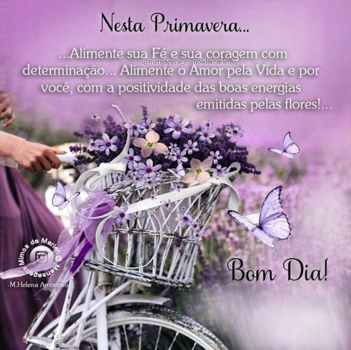 Primavera ???
