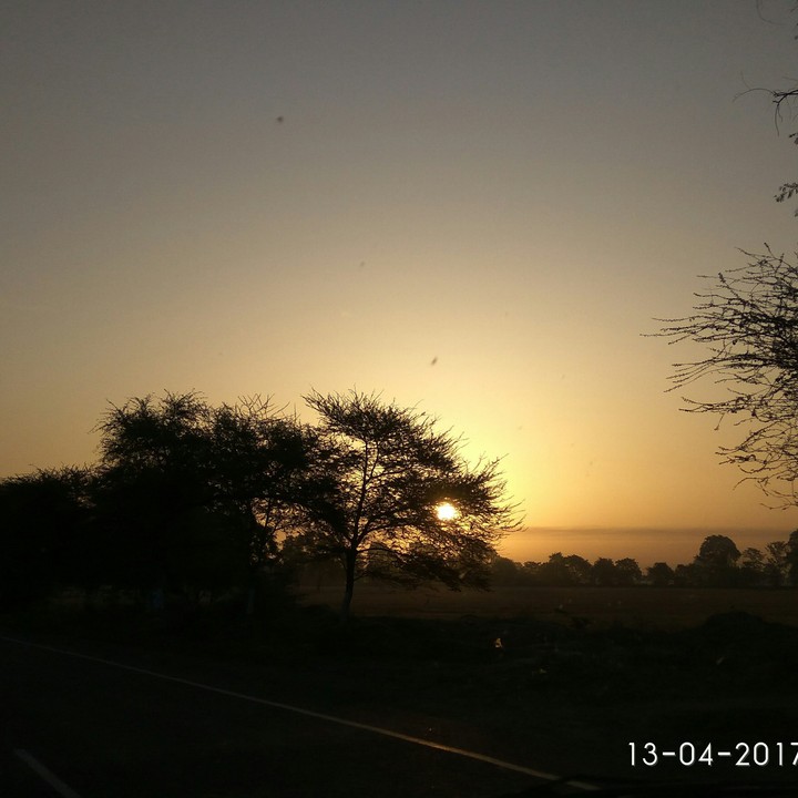 nature