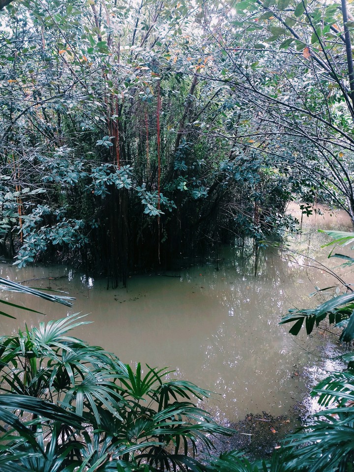 nature