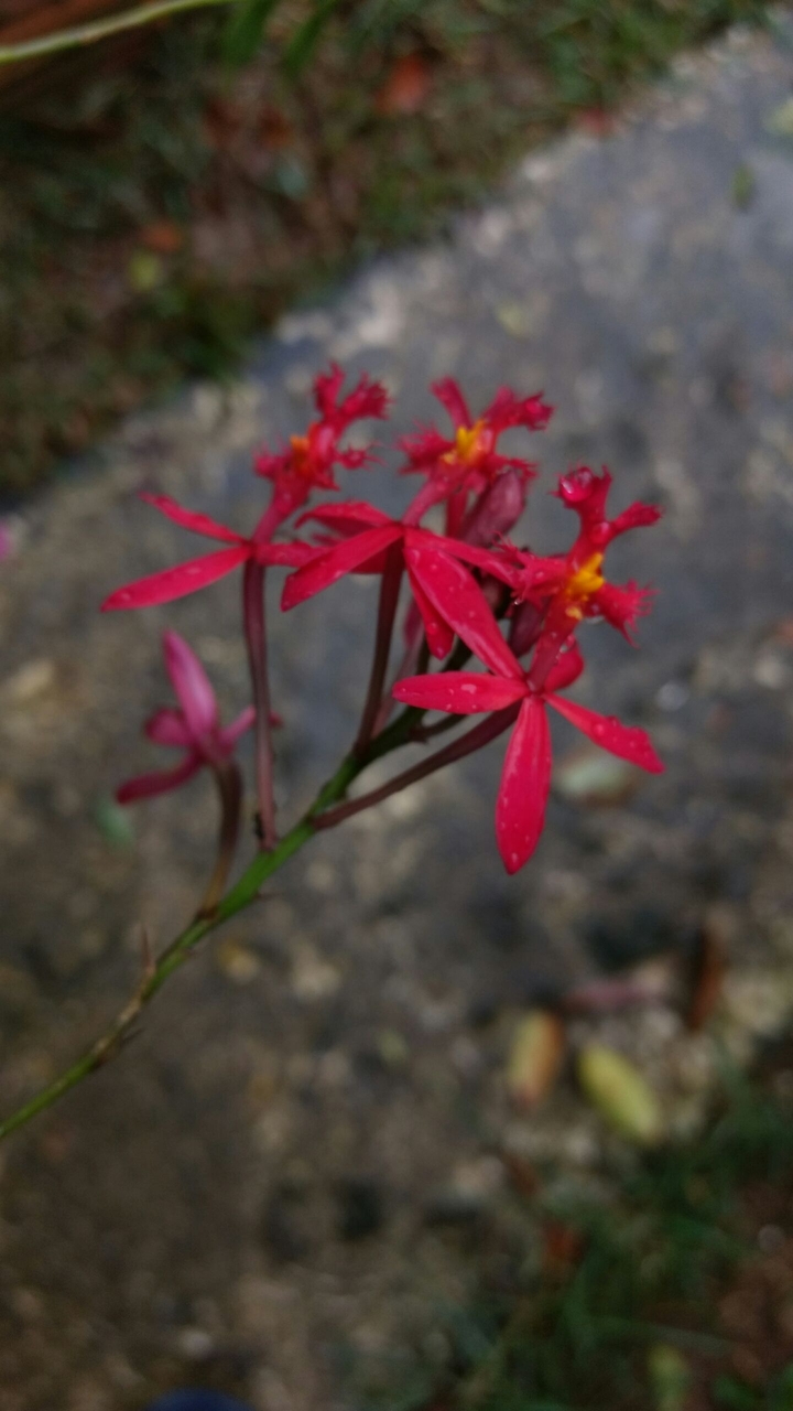 01_img_photo