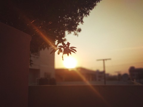 sunset