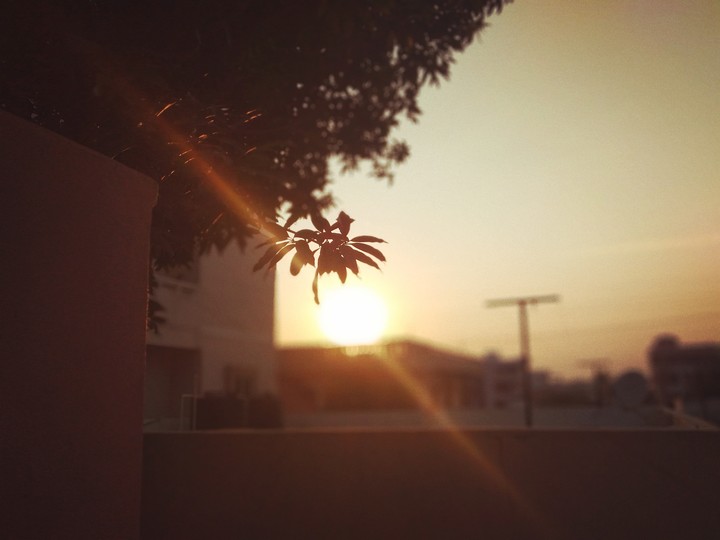 sunset