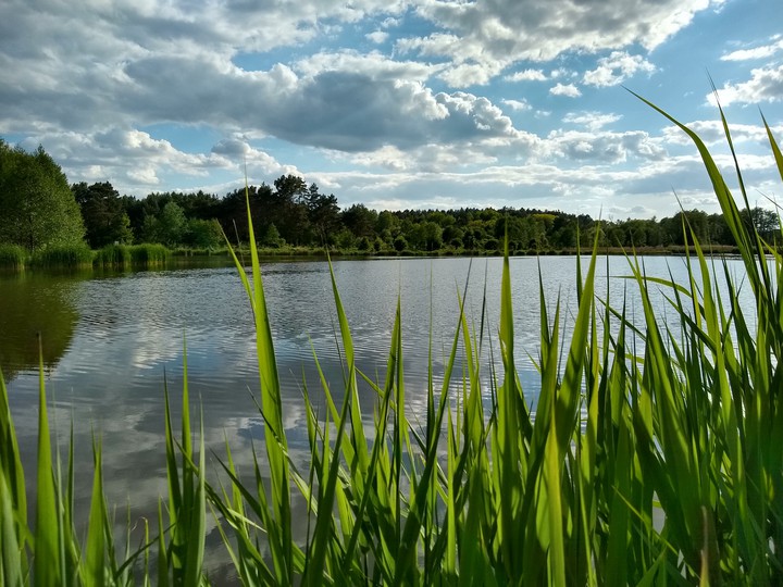 Peaceful lake