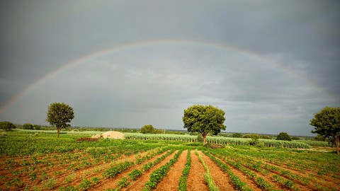 Rainbow