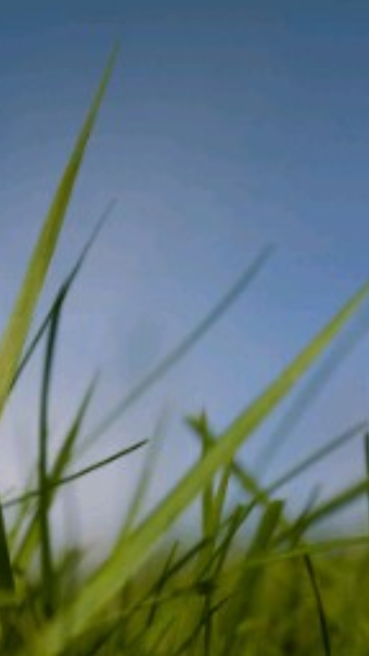natureza