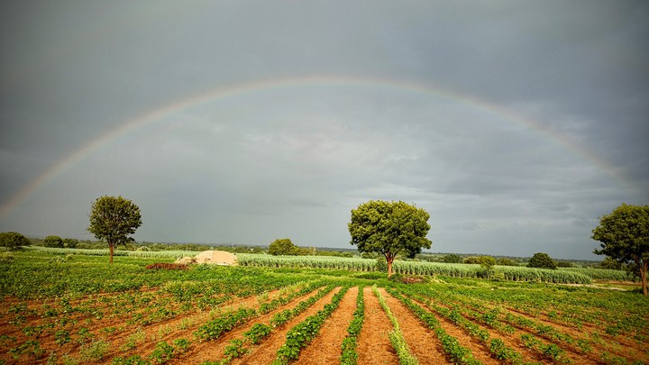 Rainbow