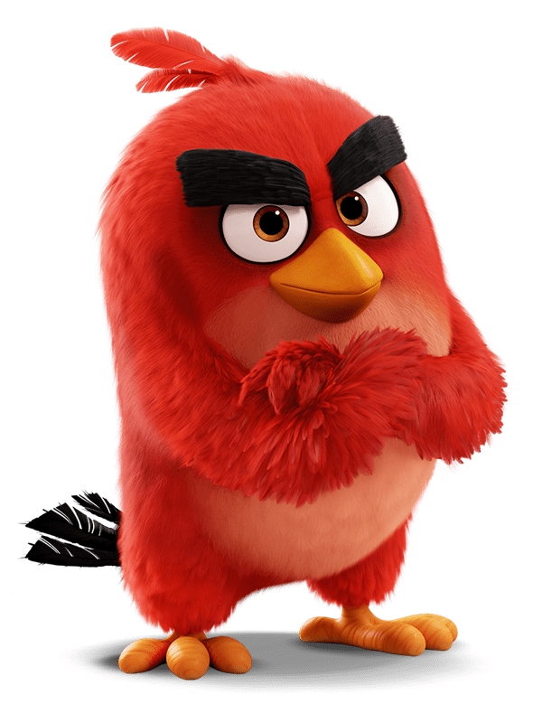 angry bird
