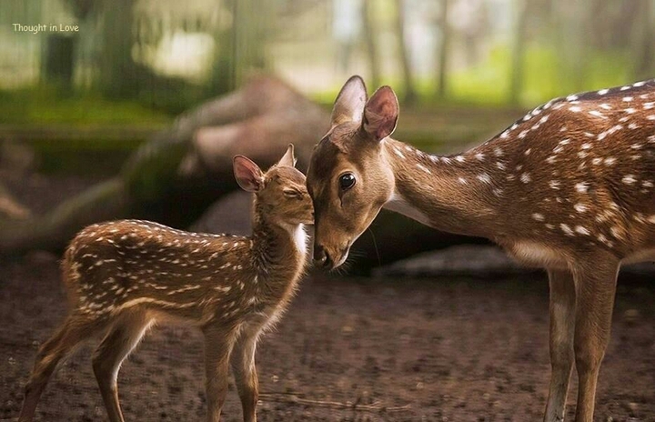 Mother... ♥♥♥