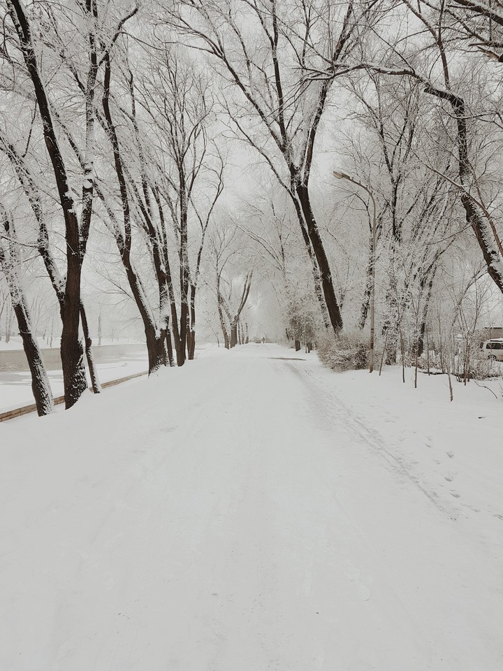 White silent