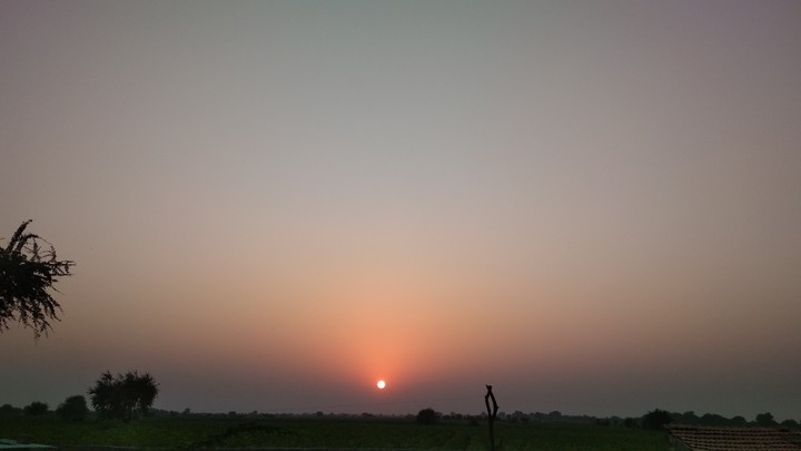 sunshine