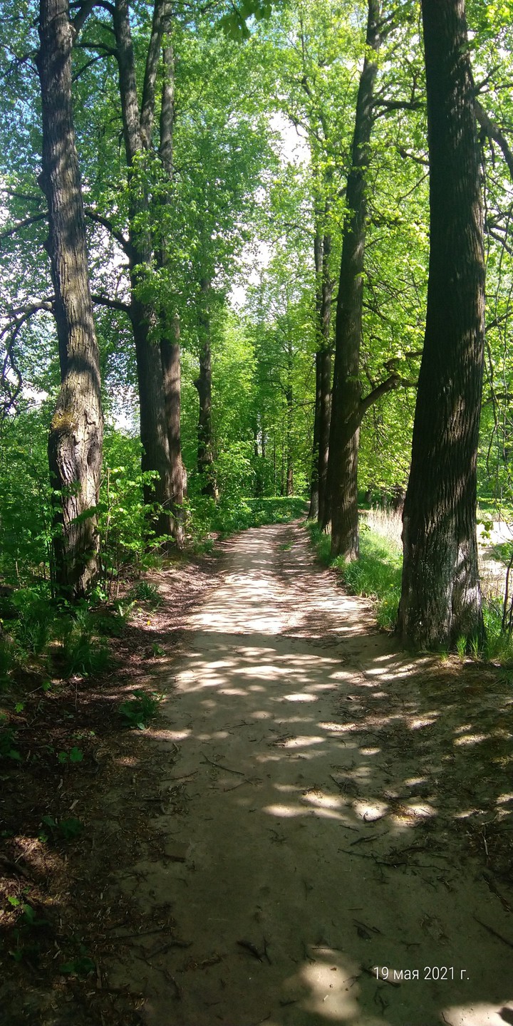 The Way