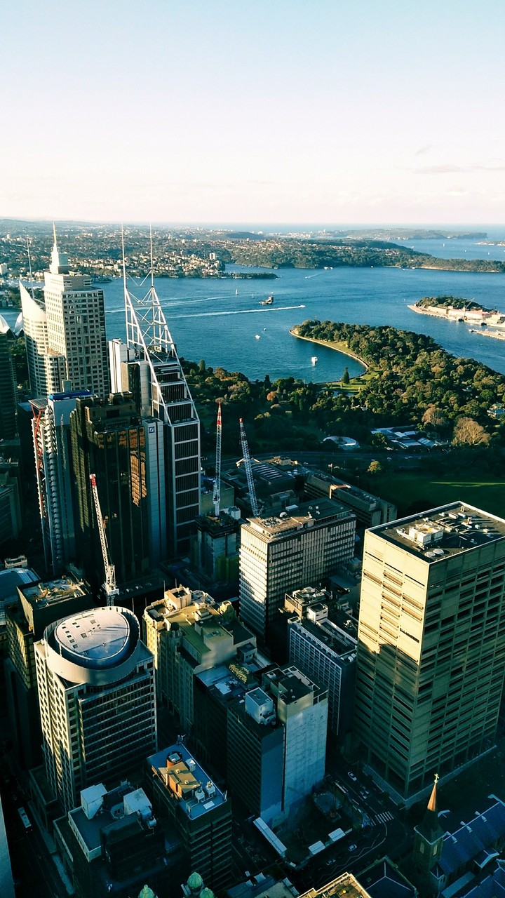 Sydney tower