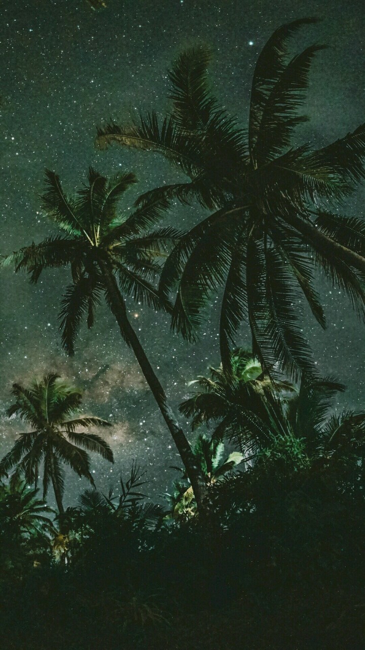Night sky