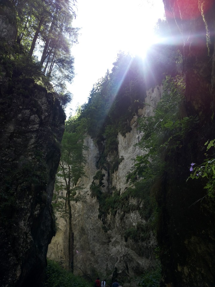 Mountain trip