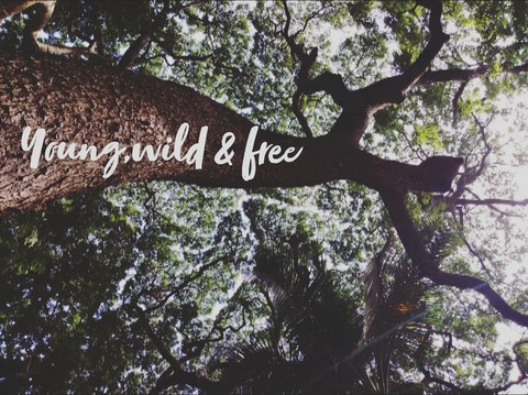 young, wild & free