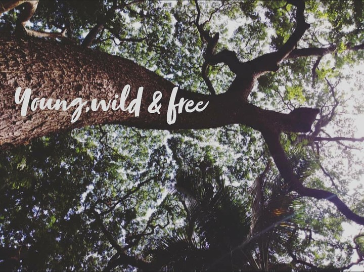 young, wild & free