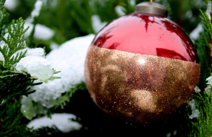 happy new year :)