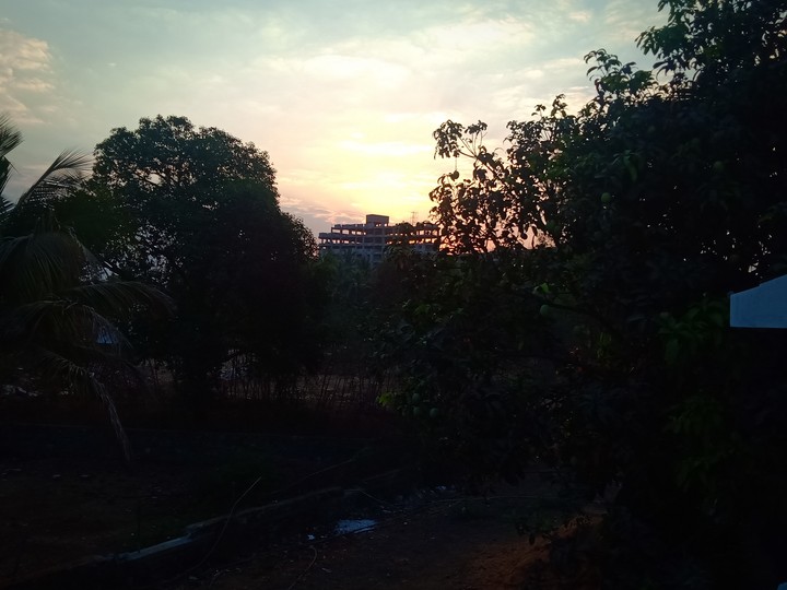 morning sunshine
