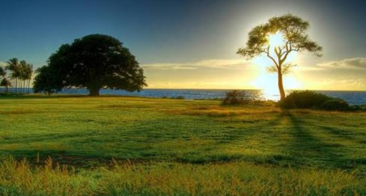 The Land Of Music.....