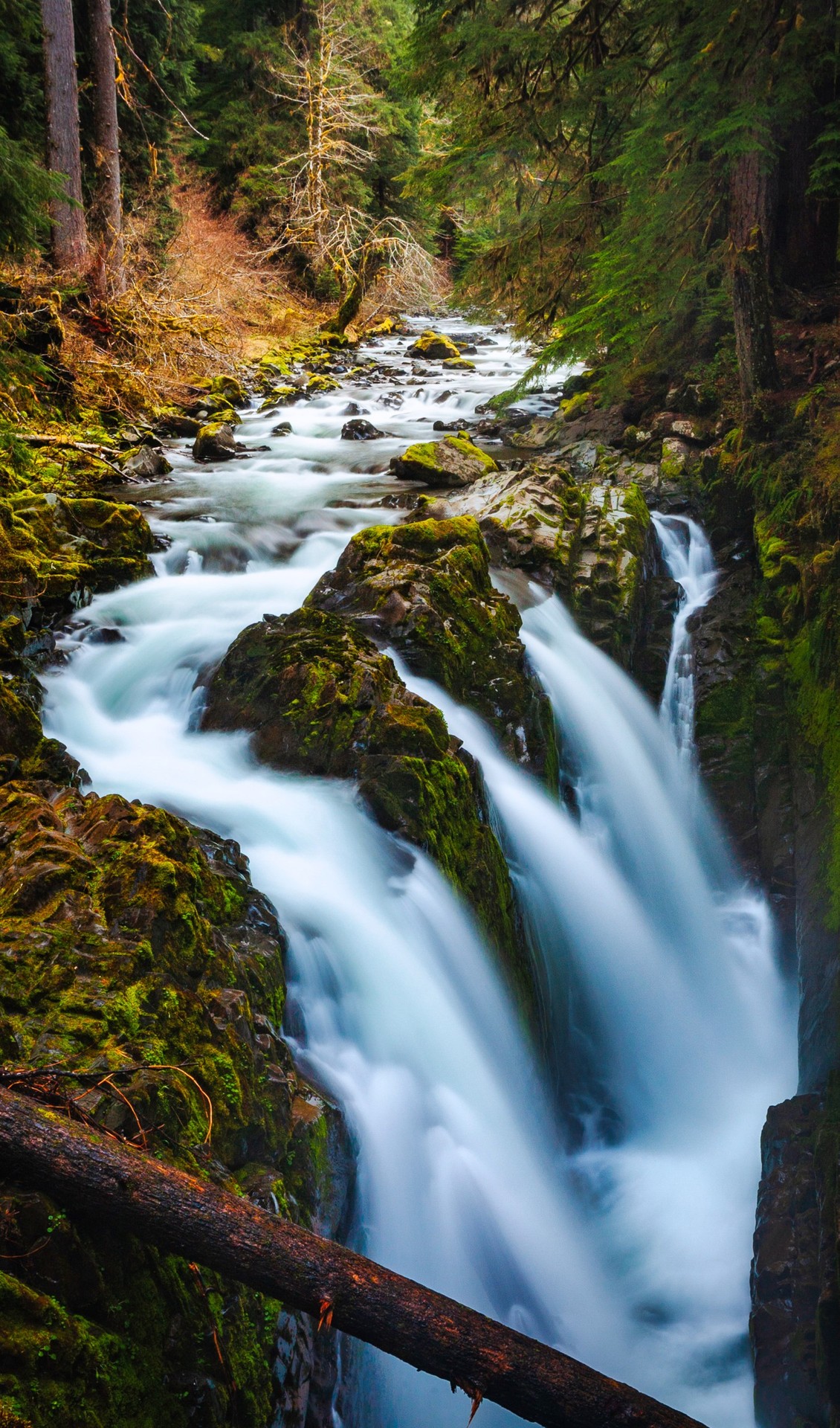 watercourse, green壁紙