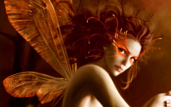Fairy