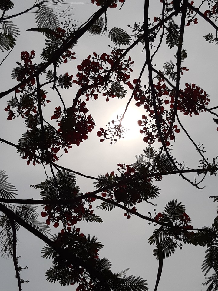 random click