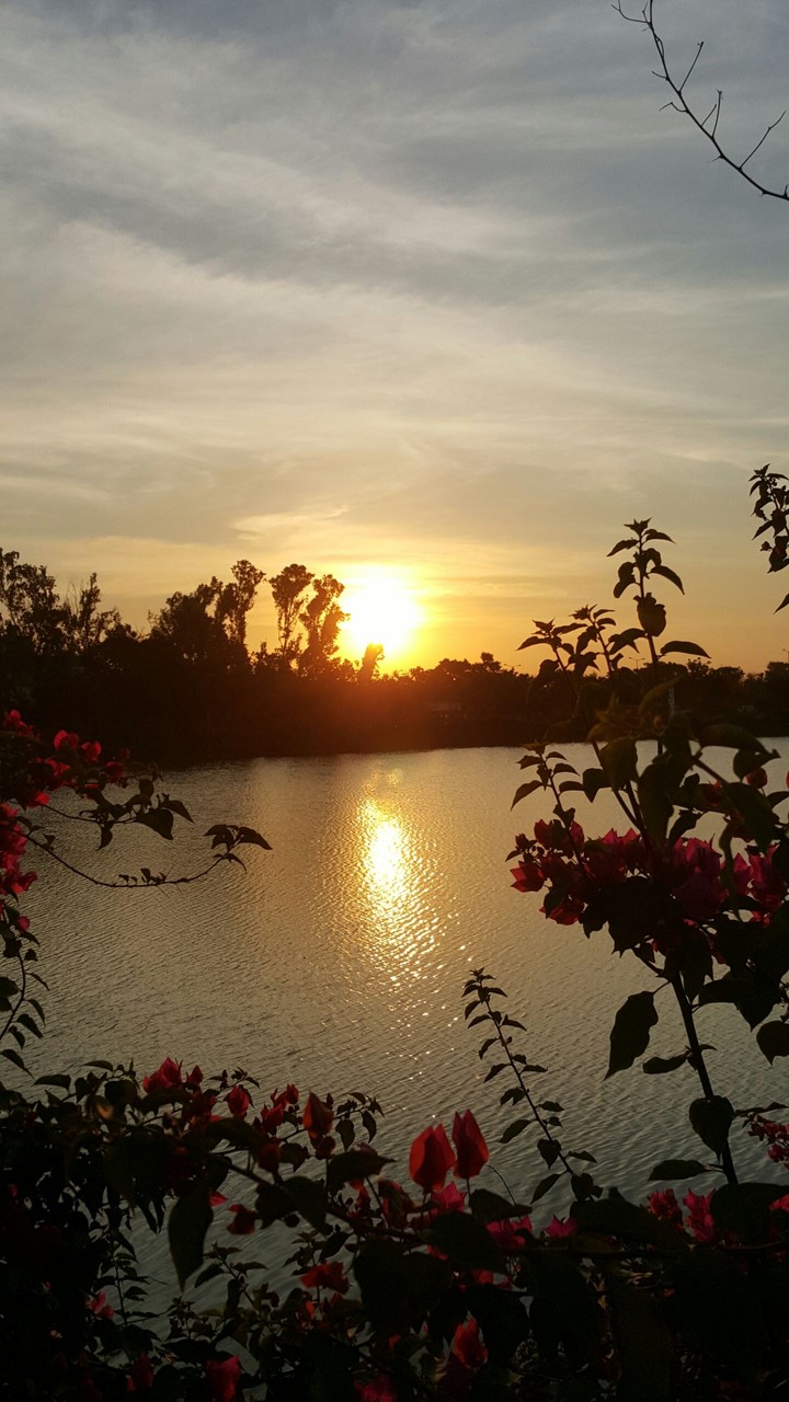 sen set near lake