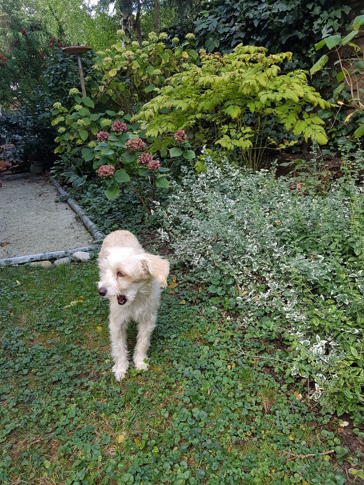 ....in the Garden..