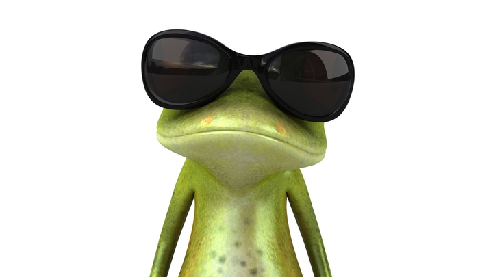 frog