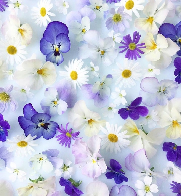 petals