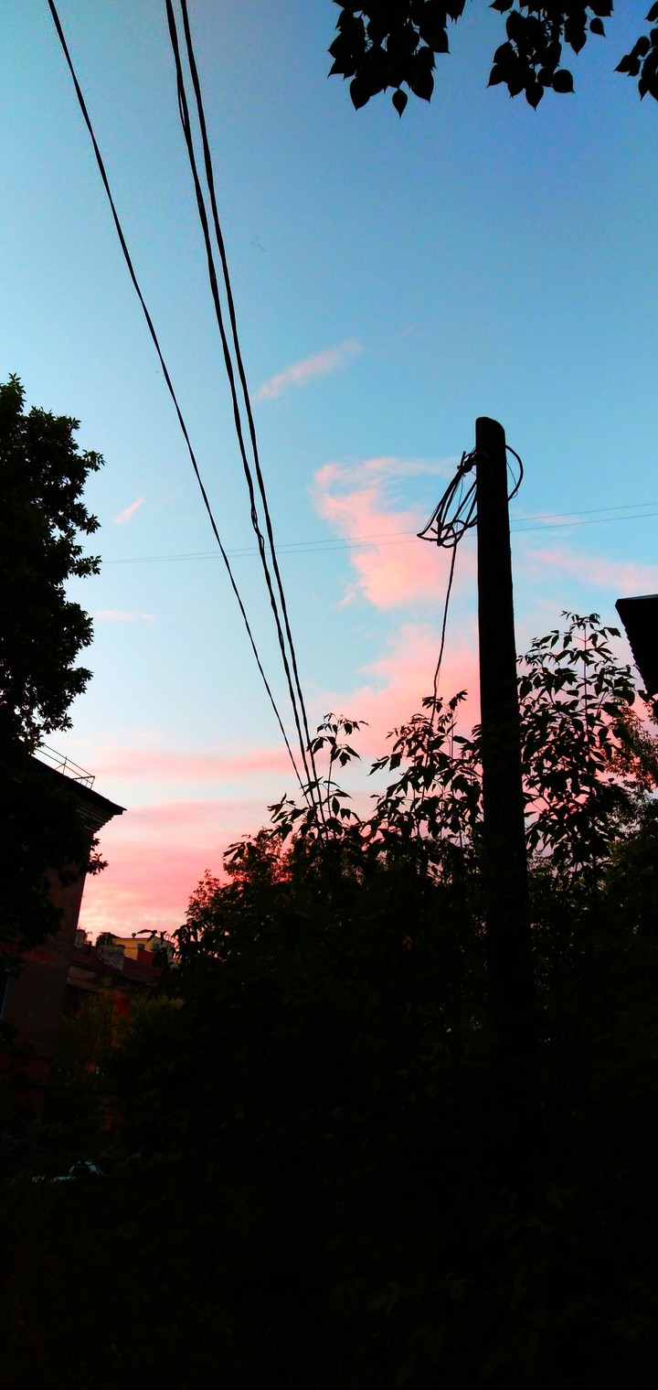 Pink sky