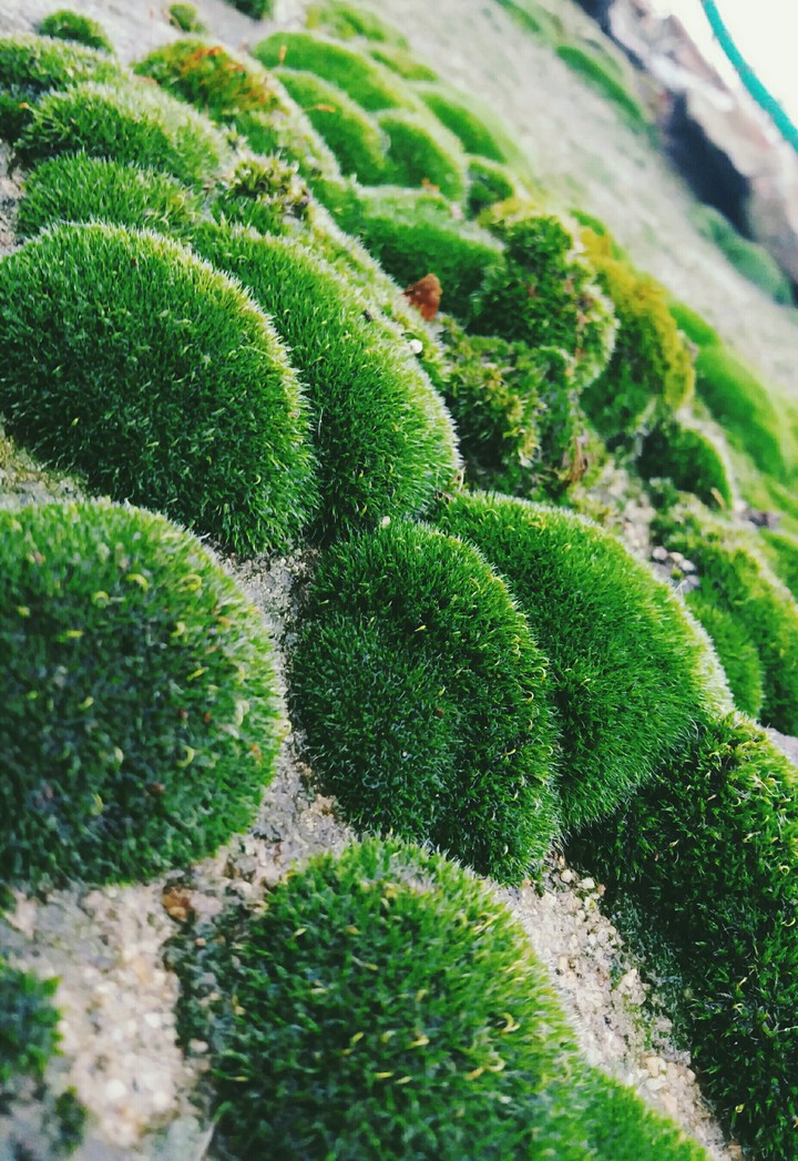 #InternationalEarthDay ♡♡♡♡♡♡♡