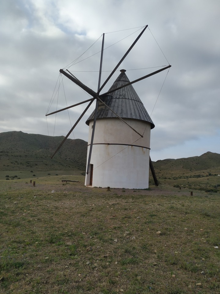 Molino