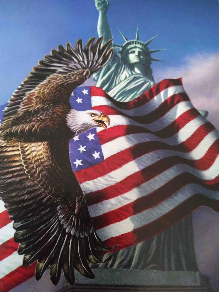 Freedom