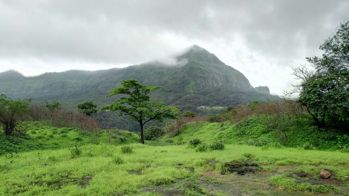 mountain