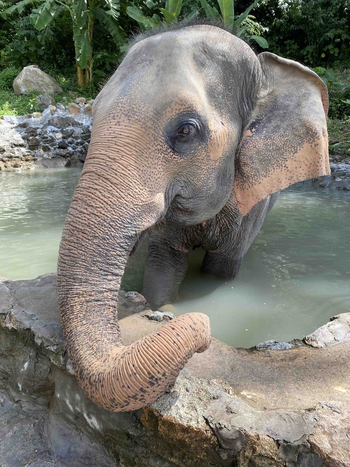 Thailand