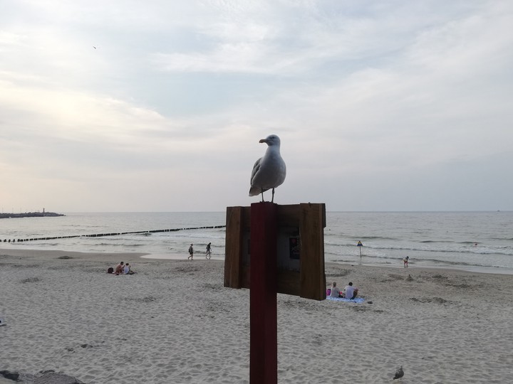 Kołobrzeg