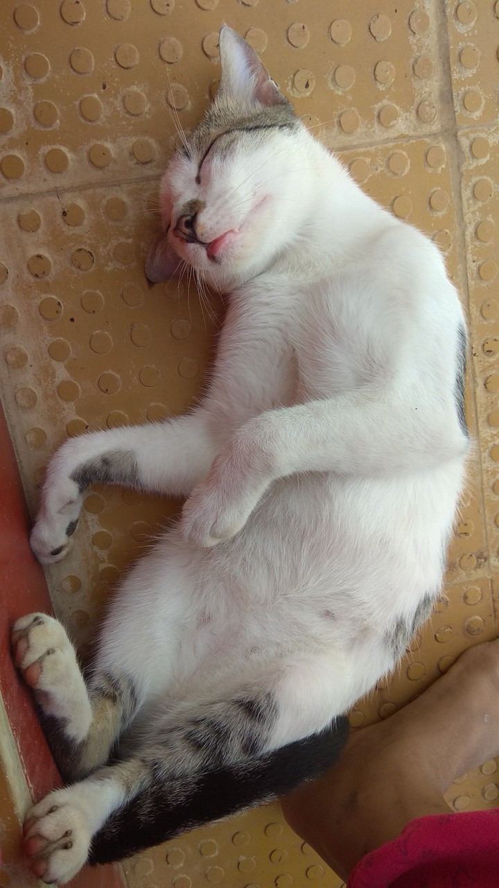 in deep sleep