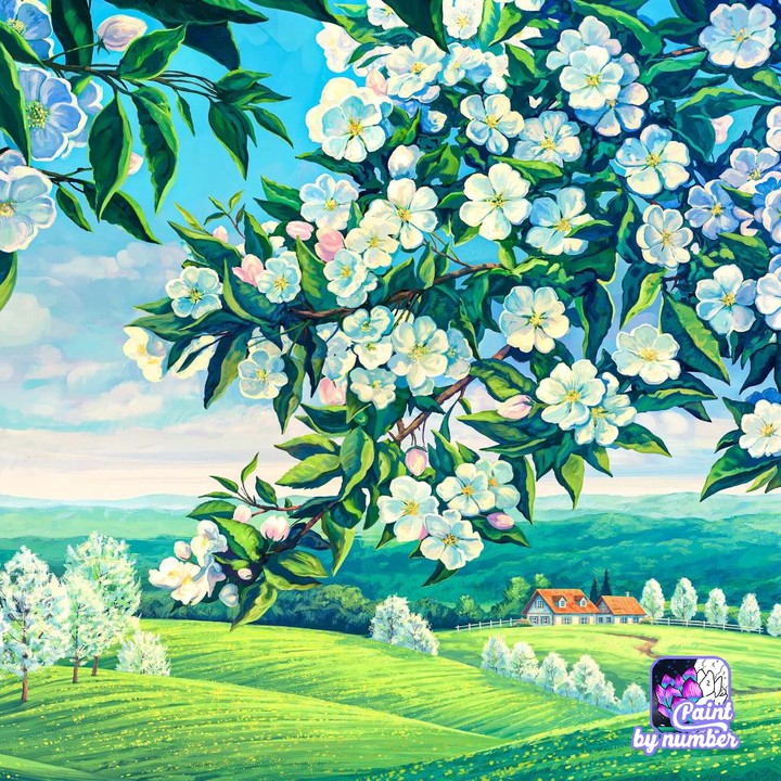 fiori bellissimi