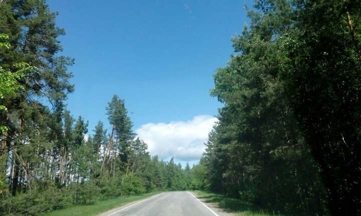 Дорога