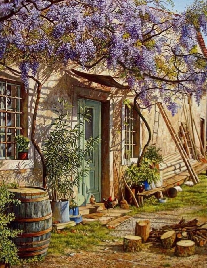 Door, flowerpot Hintergrundbilder