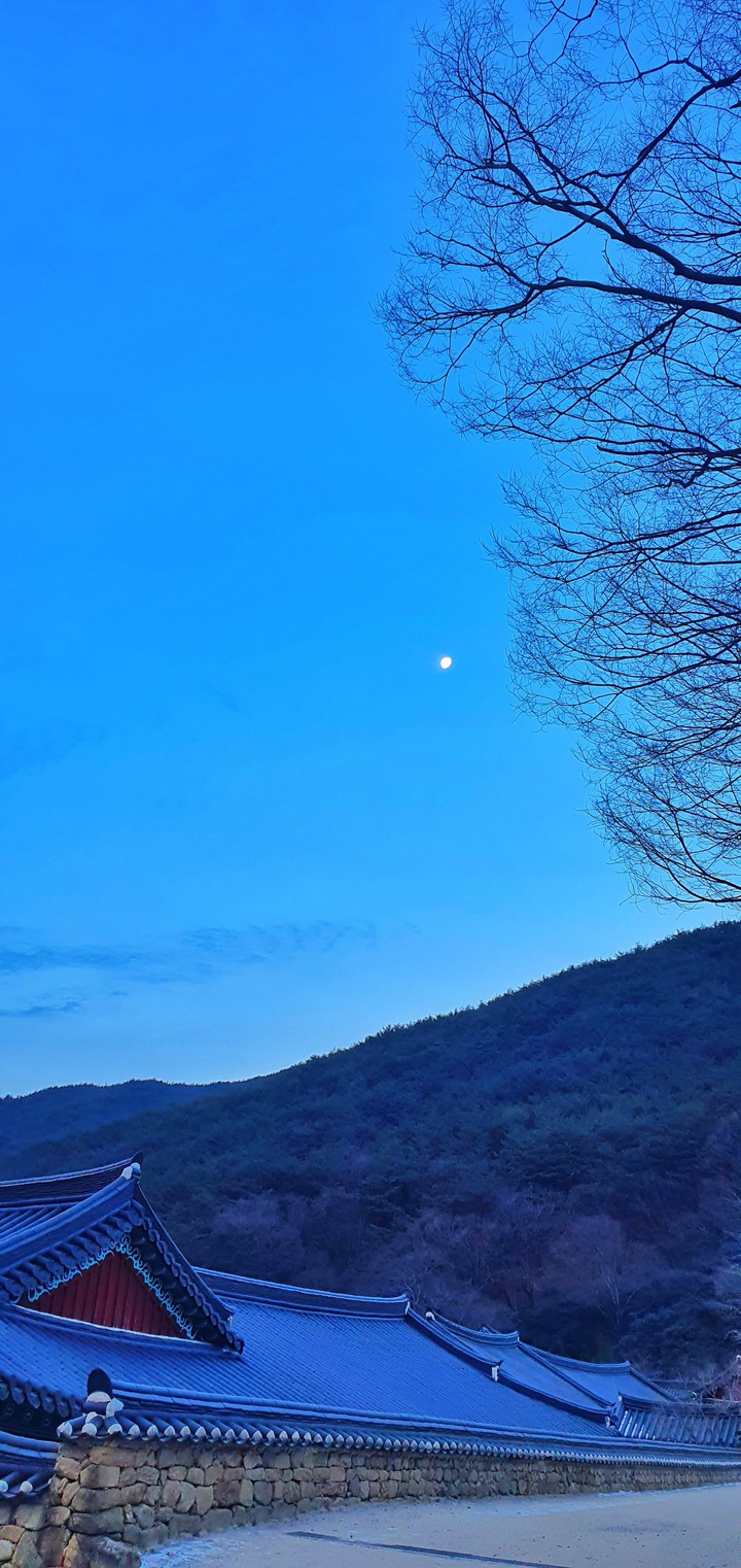 화엄사의  신세벽