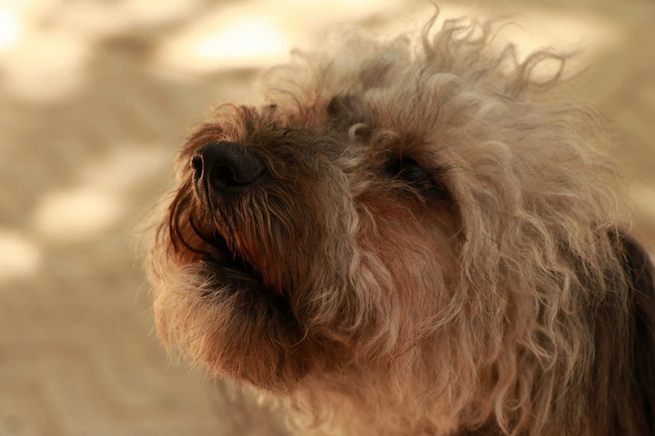 betty