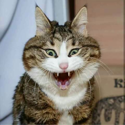 ☺