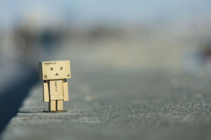 Danbo at seaside