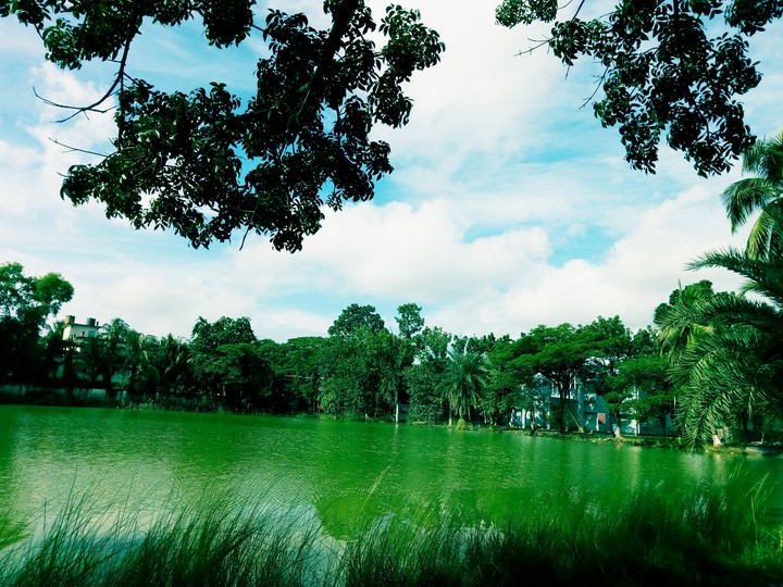 nature