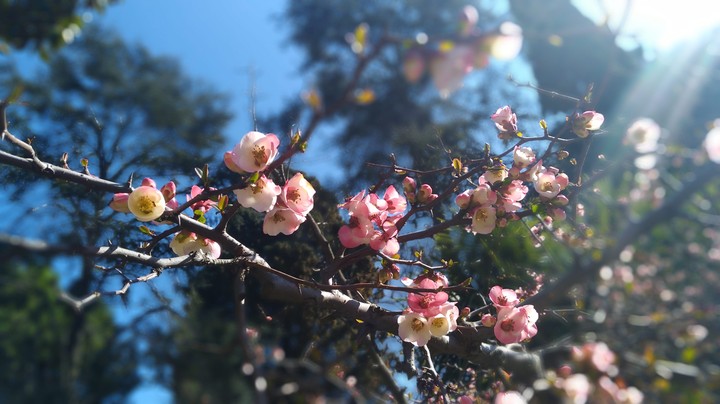 Spring