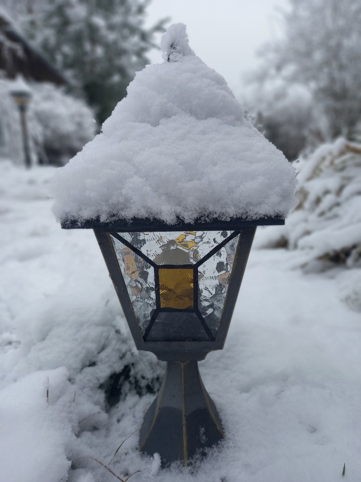 Winter