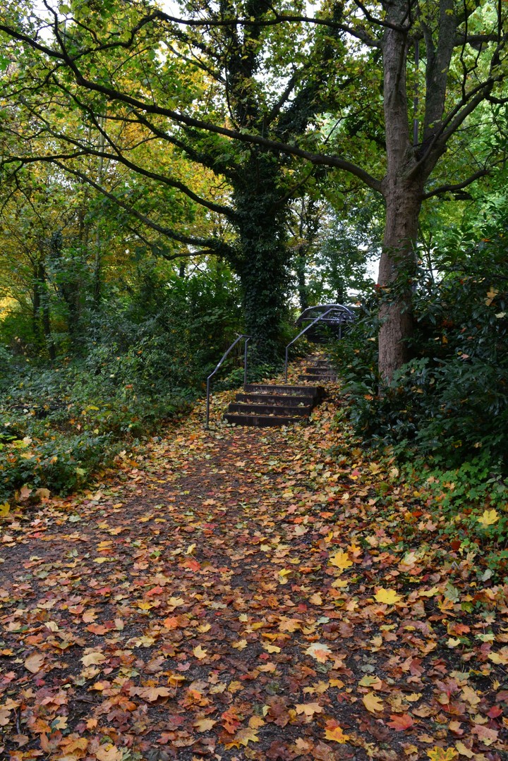 Autumn in Aachen
