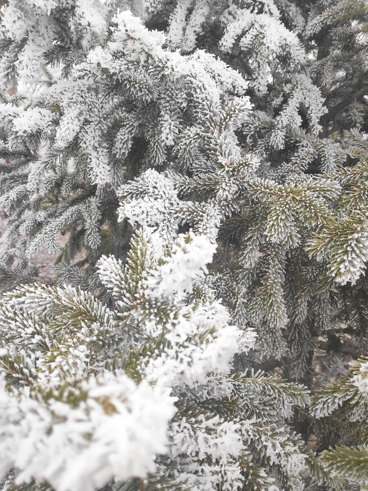 snow